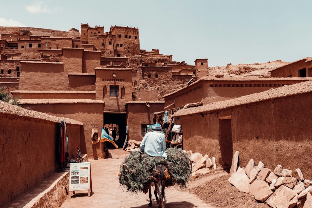 Dades Gorge Trip in sahara 