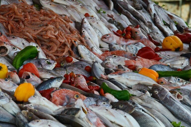 A fresh assortment of fish on display at the Essaouira Sea Market (Essaouira Market), reflecting the richness of the Atlantic Ocean and the vibrancy of the coastal city.